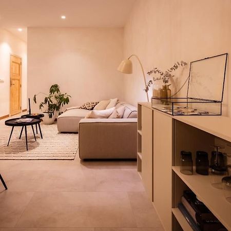 Appartement Met Tuin In Haarlem Centrum Dış mekan fotoğraf