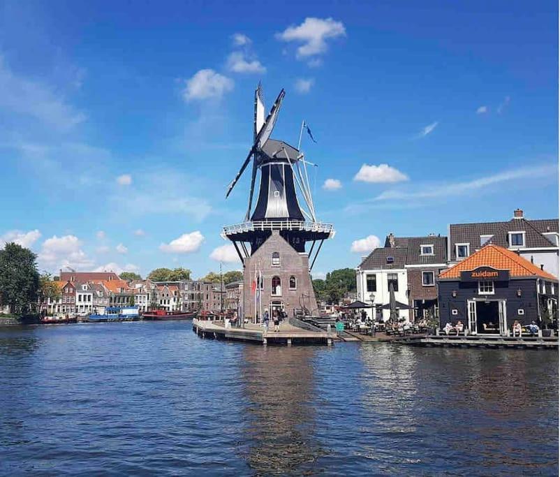 Appartement Met Tuin In Haarlem Centrum Dış mekan fotoğraf