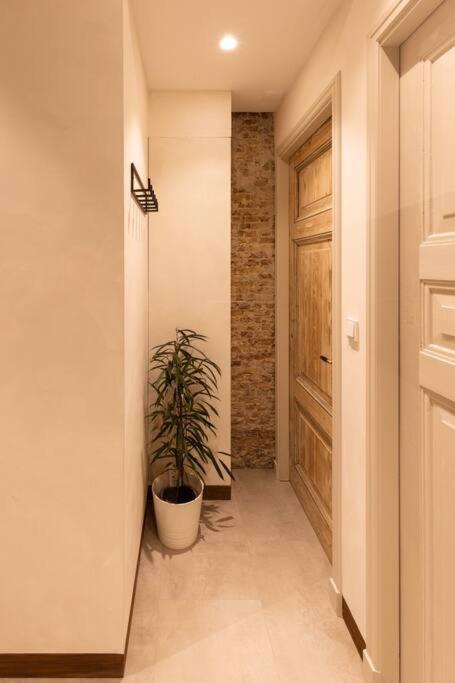 Appartement Met Tuin In Haarlem Centrum Dış mekan fotoğraf