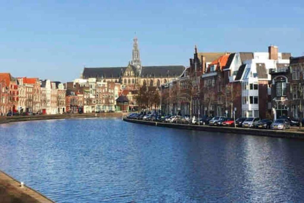 Appartement Met Tuin In Haarlem Centrum Dış mekan fotoğraf