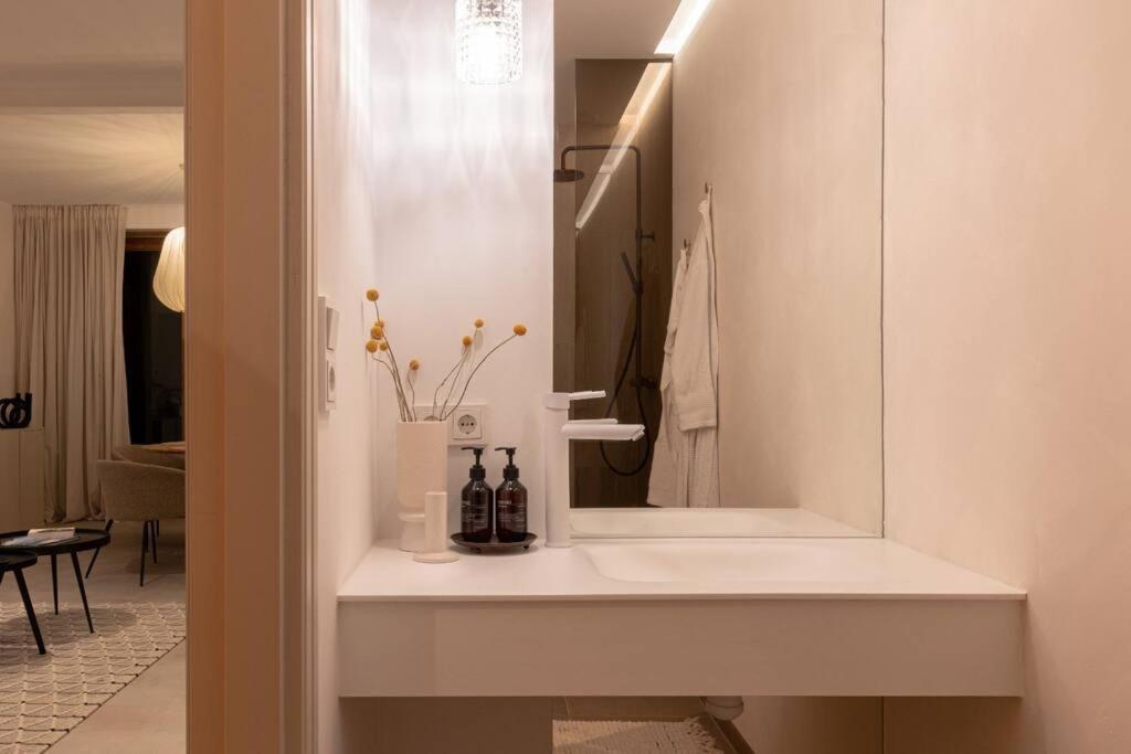 Appartement Met Tuin In Haarlem Centrum Dış mekan fotoğraf