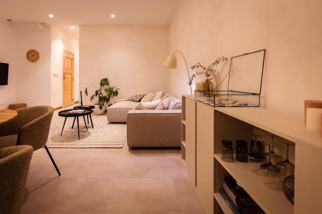 Appartement Met Tuin In Haarlem Centrum Dış mekan fotoğraf