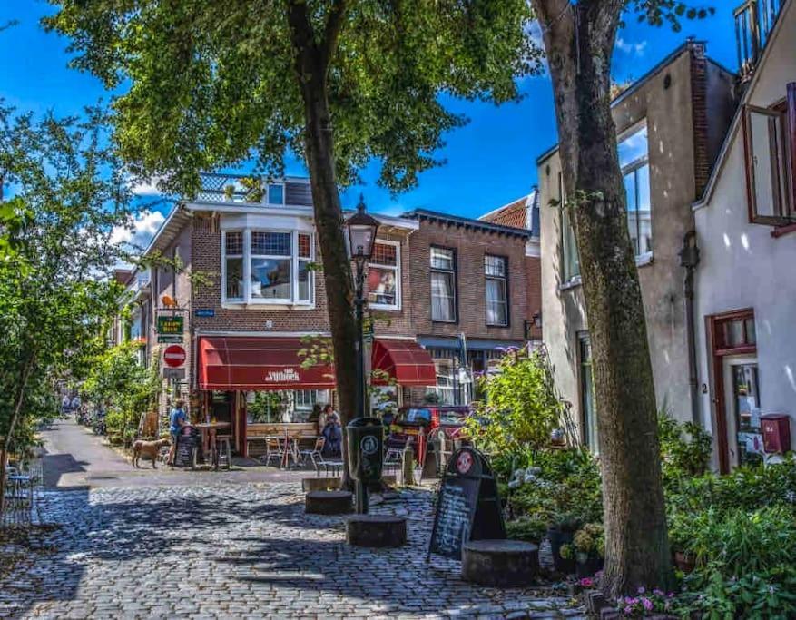Appartement Met Tuin In Haarlem Centrum Dış mekan fotoğraf